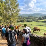 Salomé Lopes Coelho at the Serra da Estrela International Environmental Film Festival CineEco Seia 2025 and Critical Zones meeting in Cova do Barroso